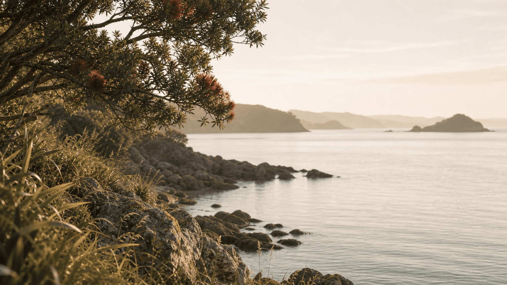 Tapeka Point, Bay of Islands — coastal headland at golden hour